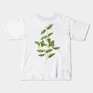 Watercolor tea plant artwork Kids T-Shirt